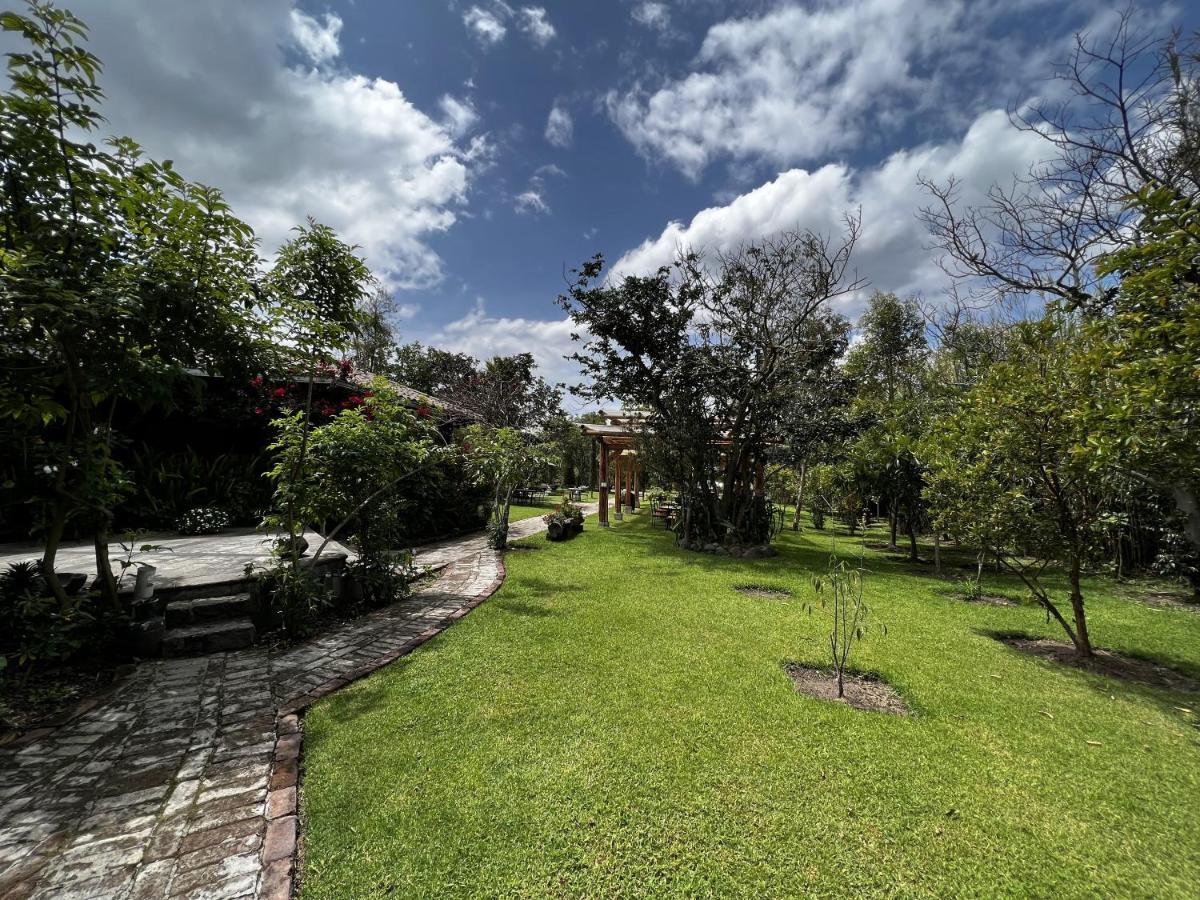 Hacienda Jimenita Wildlife Reserve Puembo Esterno foto